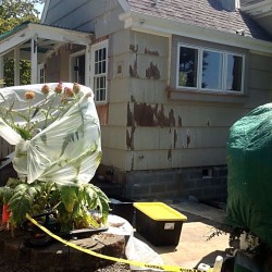 Exterior Painting | Stelzer Painting Residential & Commercial Paint Services PDX, OR